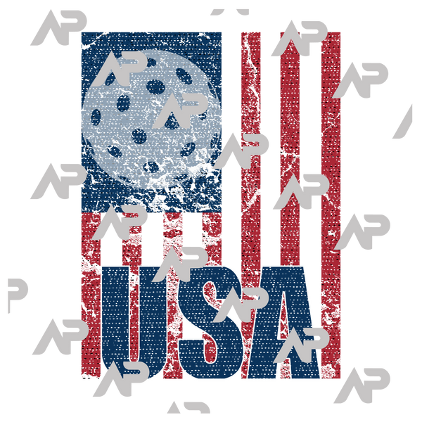 USA Pickleball Flag T-Shirt